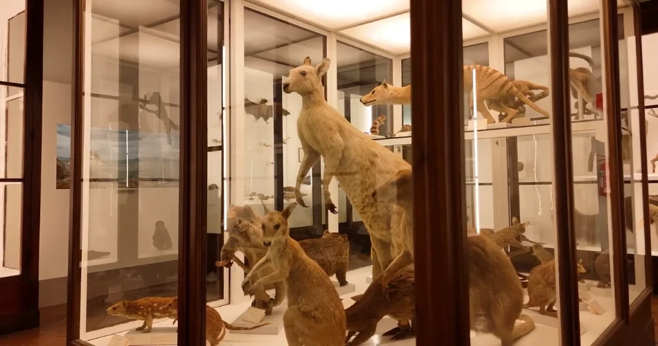 10 Best Museums in Florence, Italy