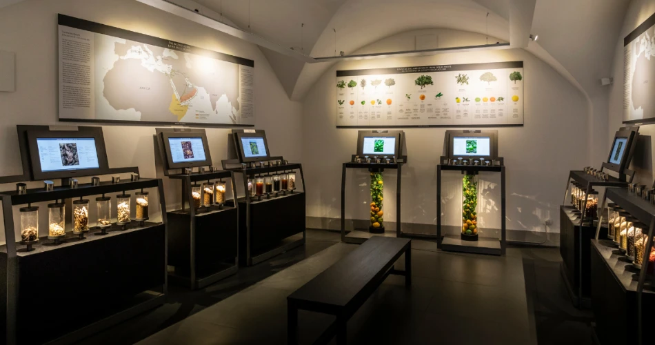 10 Best Museums in Florence, Italy