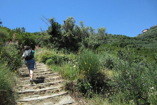 Tour image 14