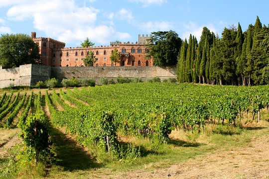 Tour image 6