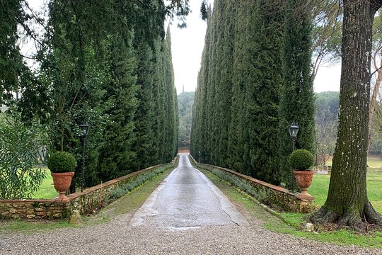 Tour image 7